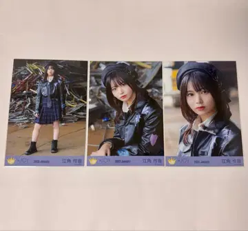 니지노조에 에스미 레온 초고독 라이온 컴프