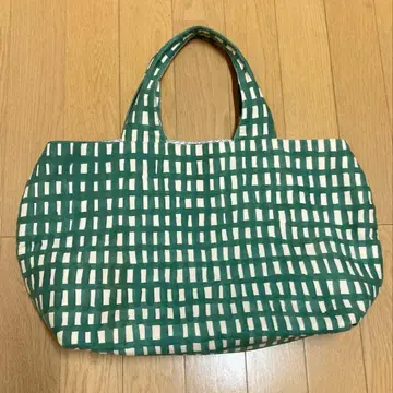 미나 페르호넨 파니니