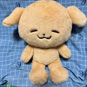 NCTDREAM 제노 포케젠 40cm 봉제 인형