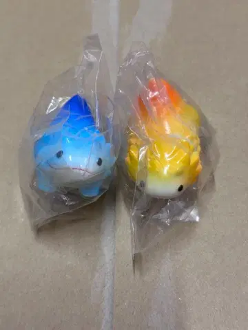 vag 시드러스 baby