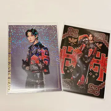 호리 나츠키 포토 카드 시크릿 EXILE THE REASON