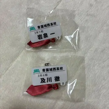 하이큐 참 포함 네임 배지 컬렉션