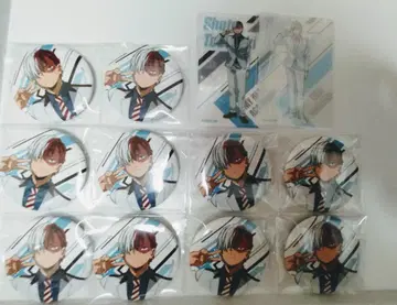 토도로키 쇼토 캔뱃지 세트 판매