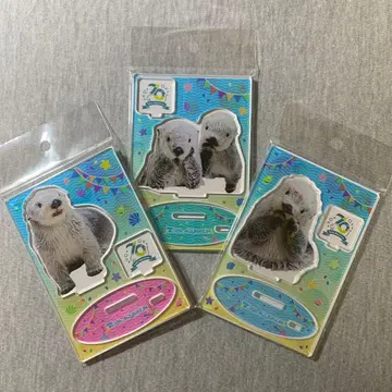 도바 수족관 70주년 기념 아크릴 스탠드 메이 키라