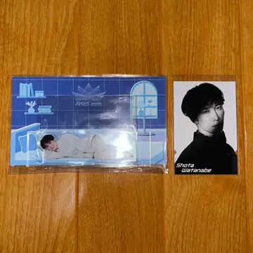 SnowMan 와타나베 쇼타 RAYS [ 아크릴 스탠드 티켓풍 카드 ]