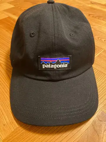 patagonia P-6 라벨 트레디셔널 캡