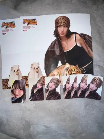 TWICE THE STORY GOES ON 모모