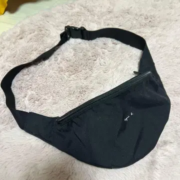 아네스베 블랙 패니 팩