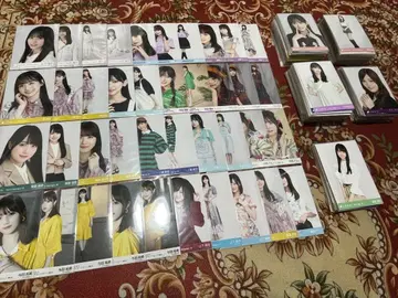 노기자카46 브로마이드 500장 묶음 판매