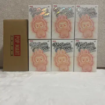 러브브 BigintoEnergy 6세트