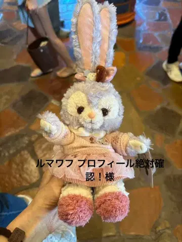 루마와후 프로필 절대 확인!님