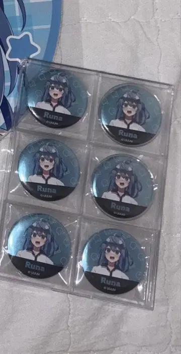 컬러풀 피치 루나 메탈 캔 6개