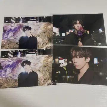 이토 켄토 엽서 화등