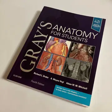 외국도서 Gray's Anatomy for Students