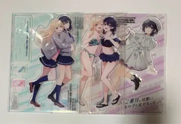 얼라이브 쿠라니카 클리어 스탠드