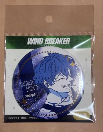 WINDBREAKER 금박 캔뱃지 아이다 토마토