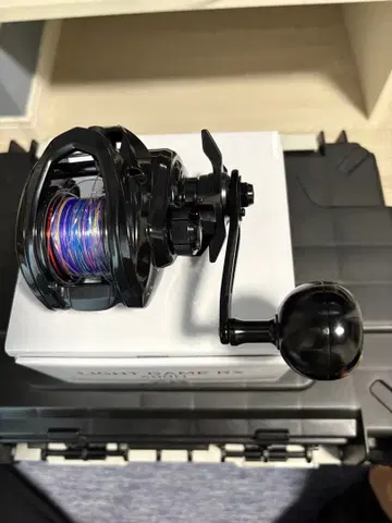 25 라이트 게임 RX 400H