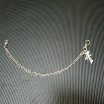 키 모양 참 포함 지갑 체인