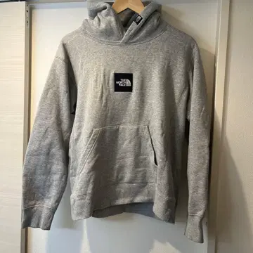 THE NORTH FACE 박스 로고 후드티