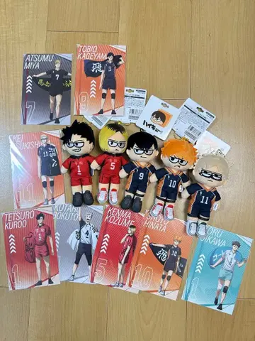 하이큐!! 봉제 인형 5체 세트 + 엽서 13장