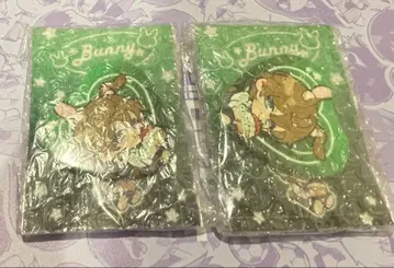 PLUSMATE 플러스메이트 플라메 토끼 캔 아마네 카에데