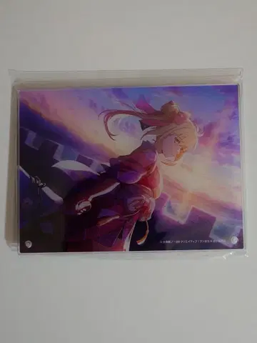 던만추 배틀 크로니클 아이즈 아크릴 플레이트 C106