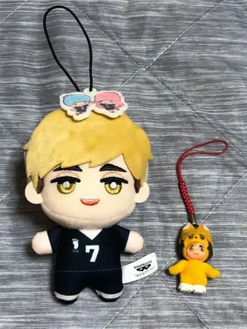 하이큐!! 치밋토모누이 코스튬 큐피 미야 아츠무