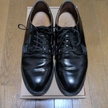 레드윙 포스트맨 101 9.5D