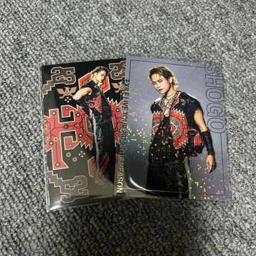 이와타니 쇼고 트레이딩 카드