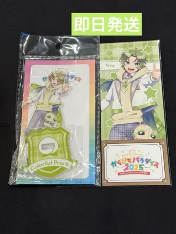 새상품 컬러풀 피치 시바님 아크릴 스탠드 티켓풍 카드 파라피치 2025