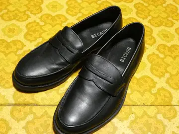 비카시 코인 로퍼