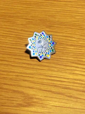 [ 레어 ] 오사카 간사이 만박 사우디아라비아 핀 배지 실버 한정판