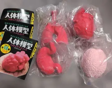 키탄클럽 인체 모형 피규어 마스코트 4종 세트