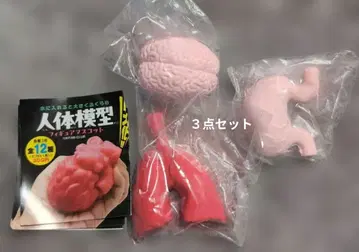 키탄클럽 인체 모형 피규어 마스코트 3종 세트