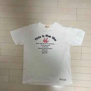 코튼 T셔츠 3색 세트 'This is the life'