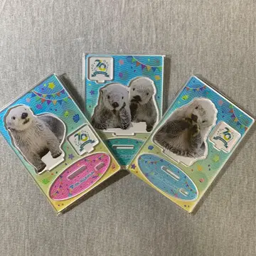 도바 수족관 70주년 기념 아크릴 스탠드 메이 키라