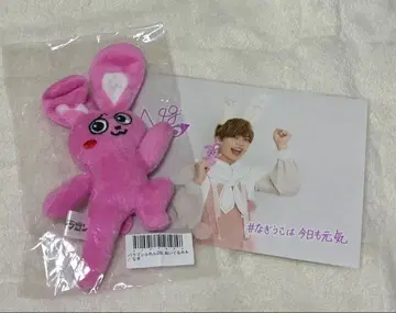 팬더드래곤 나기우사 봉제 인형 2L 사진 세트