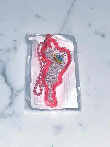 [레어 색상] BIWAKO 아크릴 키링 비와코 박관산 한정판