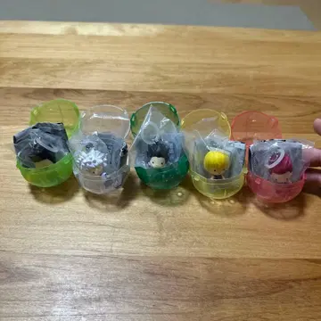 컴프 세트 메지루시 액세서리 5개