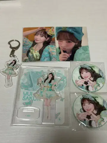 사쿠라이 유이 굿즈 세트