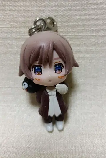 헤타리아 카라코레 아이슬란드