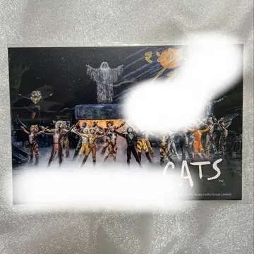 극단 사계 고양이 엽서 사인