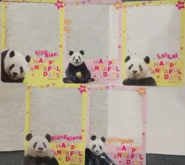 클리어 카드 5장 팬더 내일 53주년 기념 샤오 레이 리 샹 신