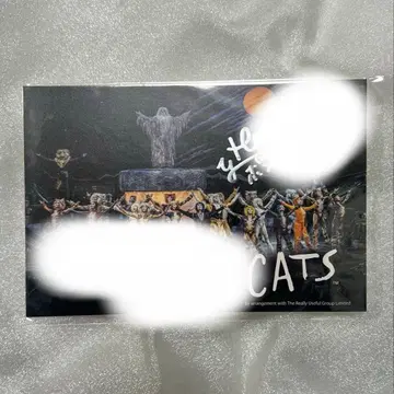 극단 사계절 캣츠 엽서 사인
