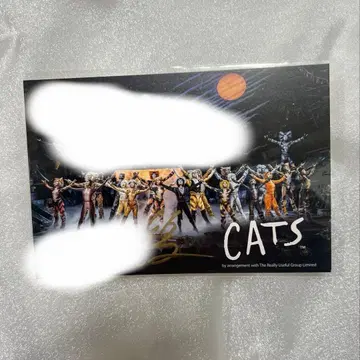 극단 사계절 캣츠 엽서 사인