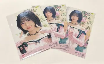 이코럽 노구치 이오리 러브송에 휩싸이다 핑크 니트 브로마이드 세미 컴프