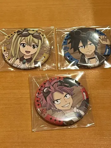 페어리 테일 프린세스 카페 캔뱃지 나츠 루시 그레이