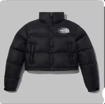 THE NORTH FACE 블랙 크롭 다운 자켓