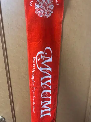 시라이시 마유미 타월