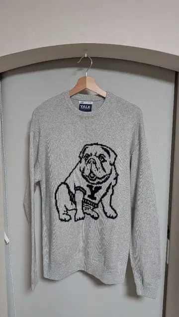 초레어 ZARA 자라 YALE 대학 콜라보 불독 니트 스웨터 그레이